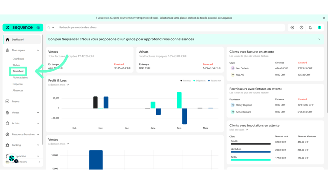 accederfiltrertimesheet02